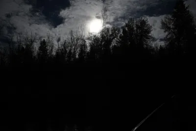 DSC_0226 (Large).JPG